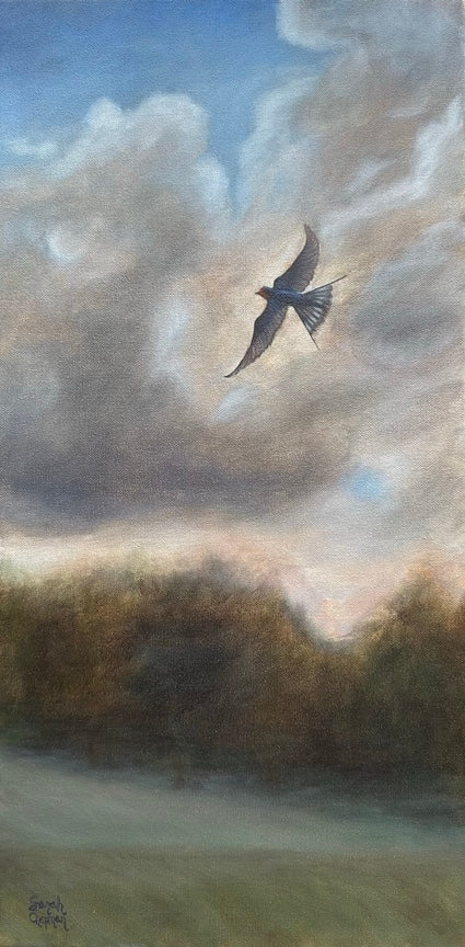 Barn Swallow |12x24| Oil