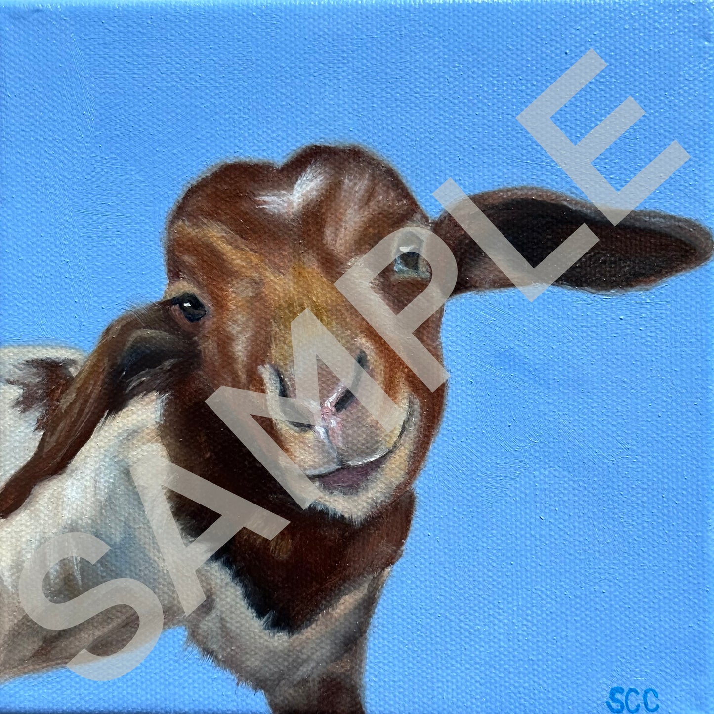 KIMMIE Pet Commission Final Payment |6x6| Oil